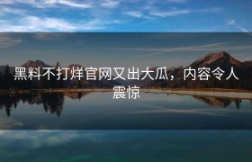 黑料不打烊官网又出大瓜，内容令人震惊