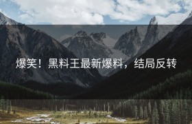爆笑！黑料王最新爆料，结局反转