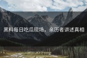 黑料每日吃瓜现场，亲历者讲述真相