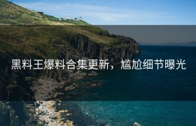 黑料王爆料合集更新，尴尬细节曝光