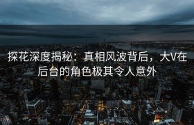 探花深度揭秘：真相风波背后，大V在后台的角色极其令人意外