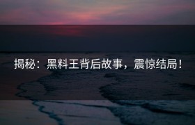 揭秘：黑料王背后故事，震惊结局！