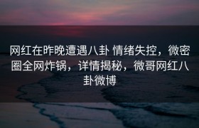 网红在昨晚遭遇八卦 情绪失控，微密圈全网炸锅，详情揭秘，微哥网红八卦微博