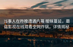 当事人在昨晚遭遇内幕 暧昧蔓延，蘑菇影视在线观看全网炸锅，详情揭秘