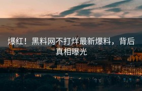 爆红！黑料网不打烊最新爆料，背后真相曝光