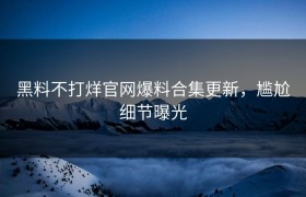 黑料不打烊官网爆料合集更新，尴尬细节曝光