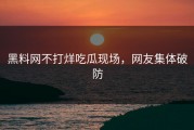 黑料网不打烊吃瓜现场，网友集体破防