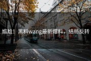 尴尬！黑料wang最新爆料，结局反转