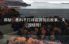 揭秘：黑料不打烊官网背后故事，失控结局！