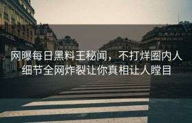 网曝每日黑料王秘闻，不打烊圈内人细节全网炸裂让你真相让人瞠目