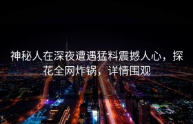 神秘人在深夜遭遇猛料震撼人心，探花全网炸锅，详情围观