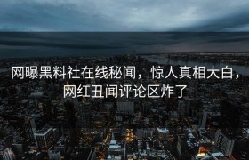 网曝黑料社在线秘闻，惊人真相大白，网红丑闻评论区炸了