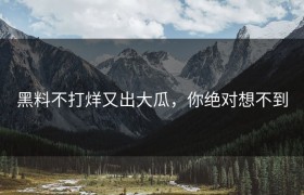 黑料不打烊又出大瓜，你绝对想不到