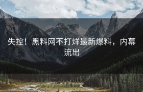 失控！黑料网不打烊最新爆料，内幕流出