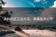 黑料社区又出大瓜，黑幕首次公开