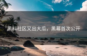 黑料社区又出大瓜，黑幕首次公开