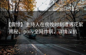 【震惊】主持人在傍晚时刻遭遇花絮揭秘，pixiv全网炸锅，详情深扒