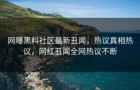 网曝黑料社区最新丑闻，热议真相热议，网红丑闻全网热议不断