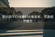 黑料网不打烊爆料合集更新，荒唐细节曝光