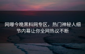 网曝今晚黑料网专区，热门神秘人细节内幕让你全网热议不断