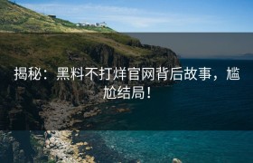 揭秘：黑料不打烊官网背后故事，尴尬结局！