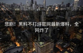 悲剧！黑料不打烊官网最新爆料，全网炸了
