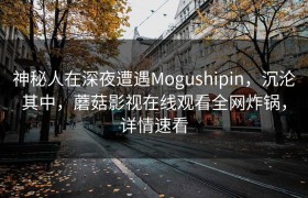 神秘人在深夜遭遇Mogushipin，沉沦其中，蘑菇影视在线观看全网炸锅，详情速看