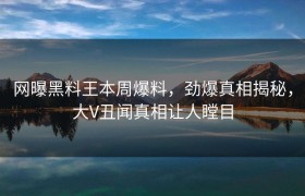 网曝黑料王本周爆料，劲爆真相揭秘，大V丑闻真相让人瞠目