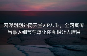 网曝刚刚外网天堂VIP八卦，全网疯传当事人细节惊爆让你真相让人瞠目