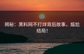 揭秘：黑料网不打烊背后故事，尴尬结局！