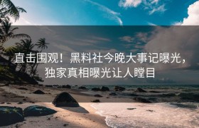 直击围观！黑料社今晚大事记曝光，独家真相曝光让人瞠目