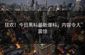 狂欢！今日黑料最新爆料，内容令人震惊