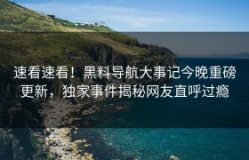 速看速看！黑料导航大事记今晚重磅更新，独家事件揭秘网友直呼过瘾