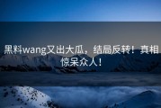黑料wang又出大瓜，结局反转！真相惊呆众人！