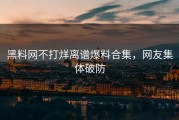黑料网不打烊离谱爆料合集，网友集体破防