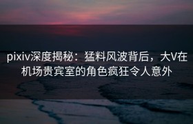 pixiv深度揭秘：猛料风波背后，大V在机场贵宾室的角色疯狂令人意外