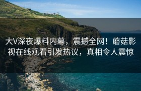 大V深夜爆料内幕，震撼全网！蘑菇影视在线观看引发热议，真相令人震惊