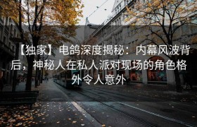 【独家】电鸽深度揭秘：内幕风波背后，神秘人在私人派对现场的角色格外令人意外