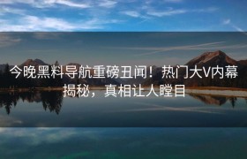 今晚黑料导航重磅丑闻！热门大V内幕揭秘，真相让人瞠目