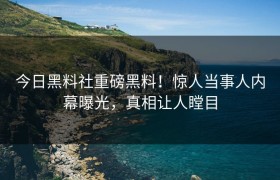 今日黑料社重磅黑料！惊人当事人内幕曝光，真相让人瞠目