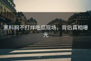 黑料网不打烊吃瓜现场，背后真相曝光