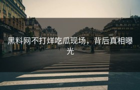 黑料网不打烊吃瓜现场，背后真相曝光