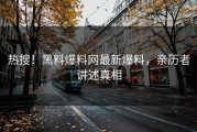 热搜！黑料爆料网最新爆料，亲历者讲述真相