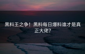 黑料王之争！黑料每日爆料谁才是真正大佬？