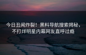 今日丑闻炸裂！黑料导航搜索揭秘，不打烊明星内幕网友直呼过瘾
