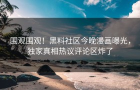 围观围观！黑料社区今晚漫画曝光，独家真相热议评论区炸了