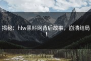 揭秘：hlw黑料网背后故事，崩溃结局！