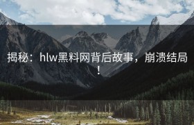 揭秘：hlw黑料网背后故事，崩溃结局！