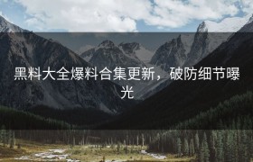 黑料大全爆料合集更新，破防细节曝光
