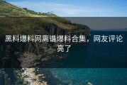 黑料爆料网离谱爆料合集，网友评论亮了